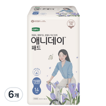 디펜드 여성용 애니데이 요실금 패드 안심대용량, 안심대용량 패드, 14개입, 6개