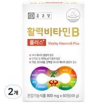 종근당 활력 비타민B 플러스, 60정, 48g, 2개