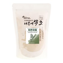 내몸에약초 차전자피 분말, 400g, 1개