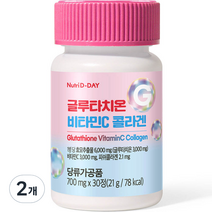 뉴트리디데이 글루타치온 비타민C 콜라겐 21g, 2개