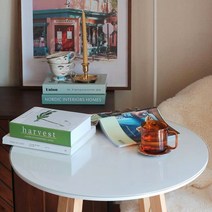 쾌청 이케아 독스타 103 x 103 cm 책상전용 원형 매트, 투명, 1개