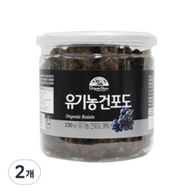 오가닉스토리 유기농 건포도, 230g, 2개