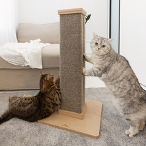피카노리 고양이 스크래쳐 기둥형, 브라운, 1개