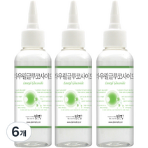 맑을담 라우릴글루코사이드 뷰티소품 100ml, 6개, 혼합색상