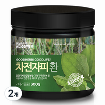 조은약초 프리미엄 차전자피환, 300g, 2개