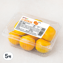 곰곰당도선별감귤, 500g, 5팩
