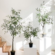 RYMD 모던 올리브 나무, 혼합 색상, 1개