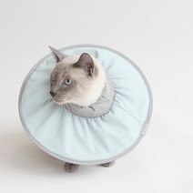 펫인뷰티 반려동물 제로 넥카라 민트 XL