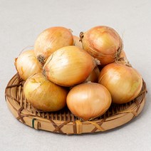 국내산 양파(소) (햇), 1.5kg, 1개