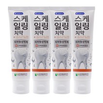 이밸런스 스케일링 치약, 120g, 4개