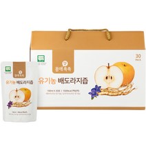 몸애쏙쏙 유기농 배도라지즙, 30개, 100ml