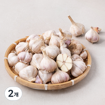 곰곰 서산 육쪽마늘, 1kg, 2개