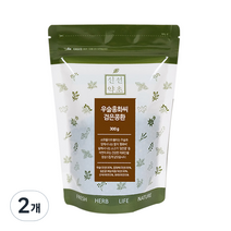 신선약초 우슬홍화씨 검은콩환, 300g, 2개