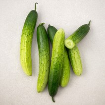 곰곰 국내산 백오이, 5개입, 1개