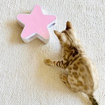 옥희독희 별의별 고양이 장난감, 핑크, 1개