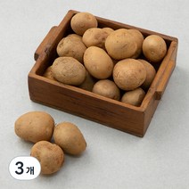 밀양 조림감자(햇), 1kg, 3개