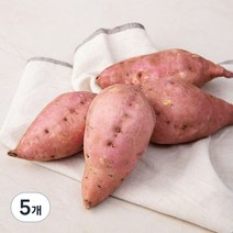 곰곰 호박고구마(햇), 700g, 5개
