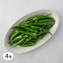 국내산 청양고추, 300g, 4개