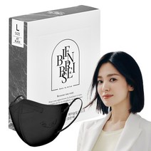비앙브리제 프리미엄 에어슬림 마스크 대형 KF94, 10개입, 1개, 제트 블랙