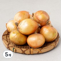 국내산 양파(소) (햇), 1.5kg, 5개