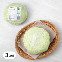 곰곰 친환경 양배추, 1개입, 3개