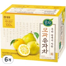 순작 모과 유자차 티백, 0.8g, 40개입, 6개