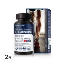 슬림플래닛 엘카르니틴 2000mg 엑서사이즈, 2개, 45g
