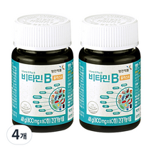 영진약품 비타민B 플러스8, 60정, 4개