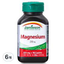 자미에슨 마그네슘 250mg, 90정, 6개