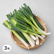 국내산 친환경 절단대파, 1kg, 3개