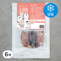 해선생 한마리 구룡포 반건조 오징어 (냉동), 130g, 6개