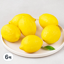 다조은 칠레산 레몬, 6팩, 700g(6입)