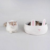 파스텔펫 반려동물 래빗 코튼로프 바스켓 쿠션, 화이트
