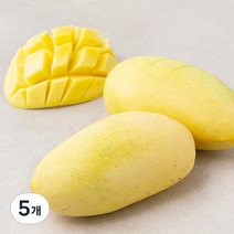 곰곰 필리핀산 망고, 500g, 5개