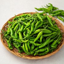 꽈리고추 국내산, 1kg, 1개