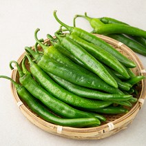 국내산 오이고추, 1kg, 1개