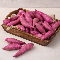 친환경 영암 한입 고구마 (햇), 1.5kg, 1개