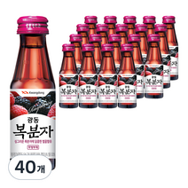 광동 복분자 음료, 40개, 100ml