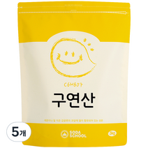 소다스쿨 구연산, 3kg, 5개
