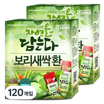 조은약초 스틱형 보리새싹환, 120개입, 2g