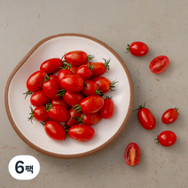한반도 대추방울토마토, 1kg, 6팩