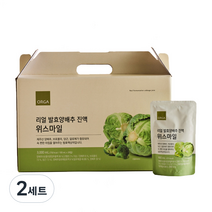 리얼 발효양배추액 위스마일, 2세트, 100ml