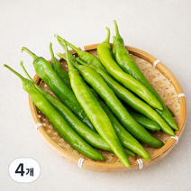 국내산 유기농 오이고추, 300g, 4개
