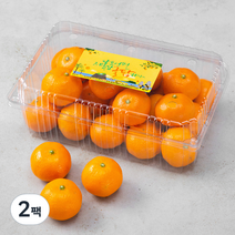 귤탐 당도선별 하우스 감귤 로열과, 1.5kg(S~M), 2팩