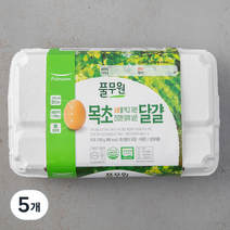 풀무원 무항생제 1등급 목초 대란 15구, 5개