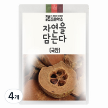 조은약초 자연을 담는다 프리미엄 모과, 600g, 4개, 4개