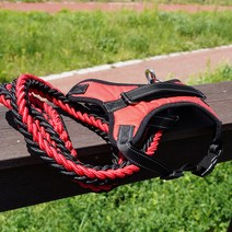 이지워크 리드줄 + 하네스 세트 XL, 레드, 1세트