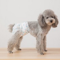 로커스 강아지 기저귀 흰색, 초소형, 1개