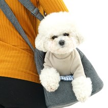 레드퍼피 끌레모던 이동가방, 그레이