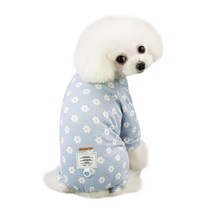 딩동펫 반려동물 플라워 올인원, 블루